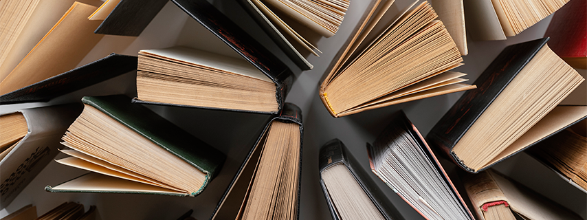 Lanzan libro gratuito que busca promover el bienestar en personas con discapacidad intelectual