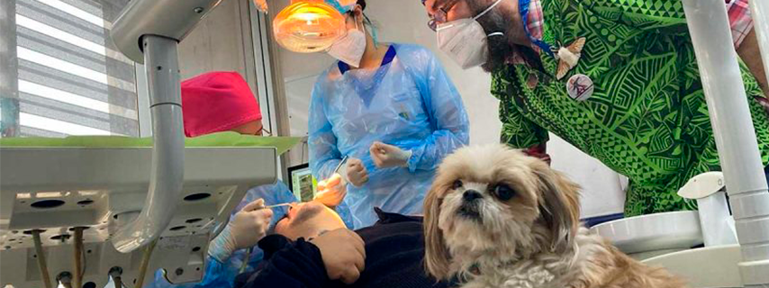 U. de Chile inauguró atención odontológica con perros para pacientes en situación de discapacidad