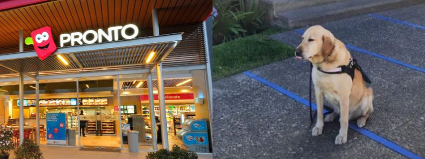 Mujer con discapacidad visual denuncia que no la dejaron entrar con su perro guía a una Pronto Copec