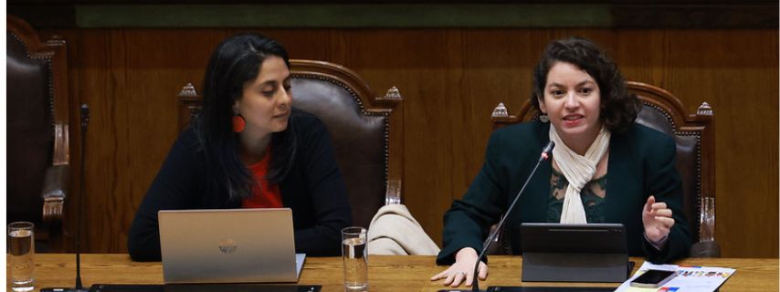 Será Ley: Cámara del Senado despacha a promulgación proyecto que amplía la inclusión laboral de personas con discapacidad 