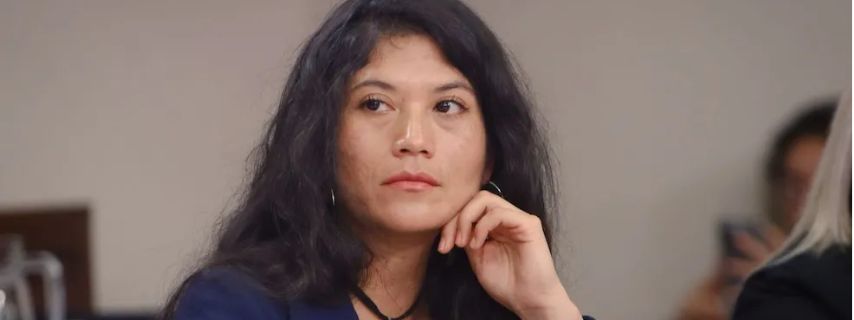 Diputada Ericka Ñanco pide extender bono invierno para personas con discapacidad