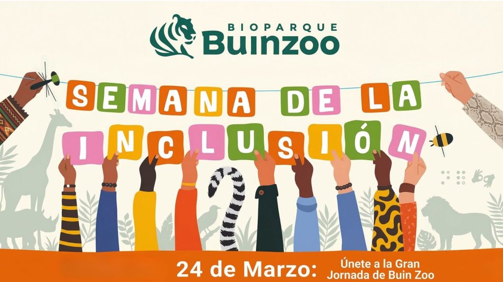Afiche ilustrado de la "Semana de la Inclusión" en Bioparque Buin Zoo. En el centro, manos de diversas tonalidades de piel sostienen bloques coloridos que forman la frase "SEMANA DE LA INCLUSIÓN". El diseño incluye el logo del parque, siluetas de animales africanos y la fecha 24 de marzo en una franja naranja inferior.